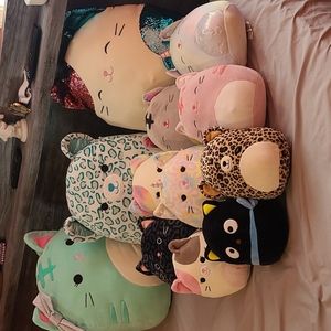 16"-8" Cat Squishmallows